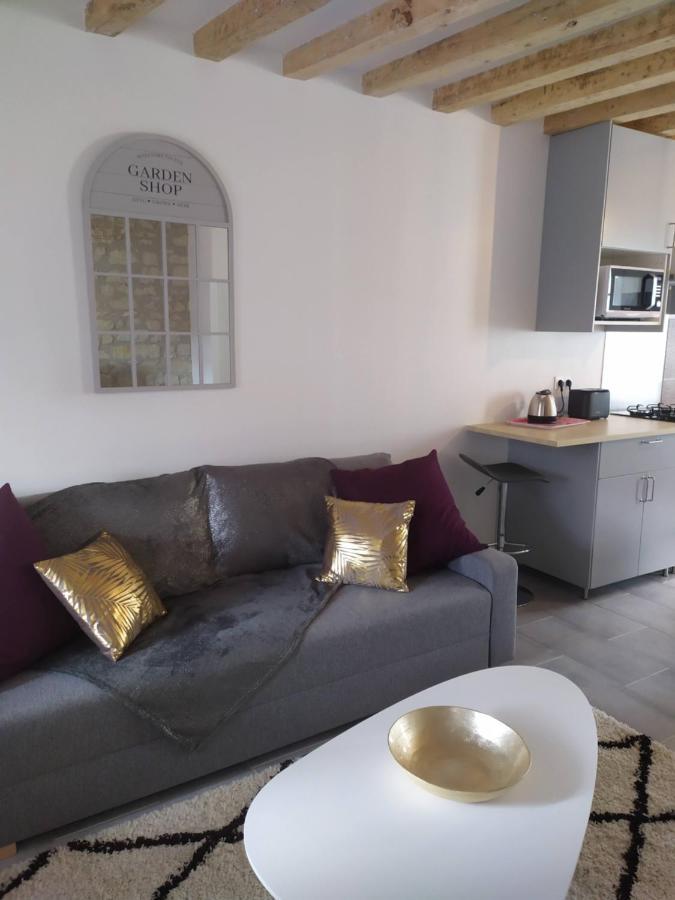 Nouveau gîte Casa Louka, proche Beauval Saint-Aignan  Extérieur photo